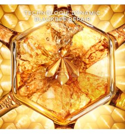 Abeille Royale - Honigbehandlung - Nachtcreme - Die Nachfüllung